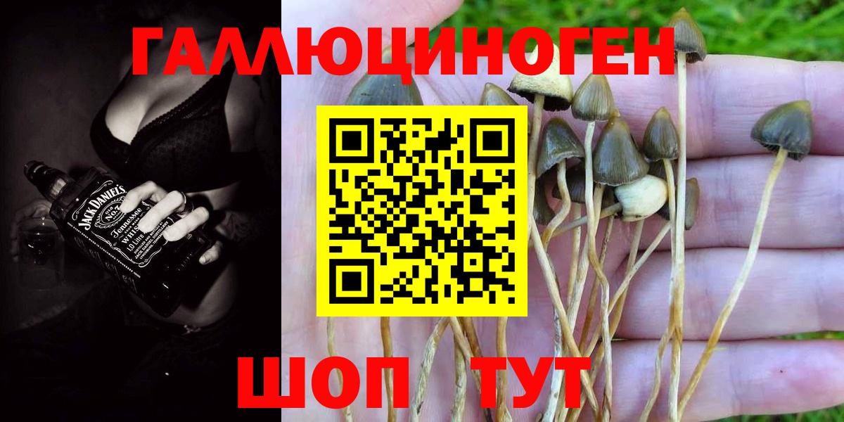 Псилоцибиновые грибы GOLDEN TEACHER  Псилоцибиновые грибы GOLDEN TEACHER  Новороссийск  Вход с VPN 