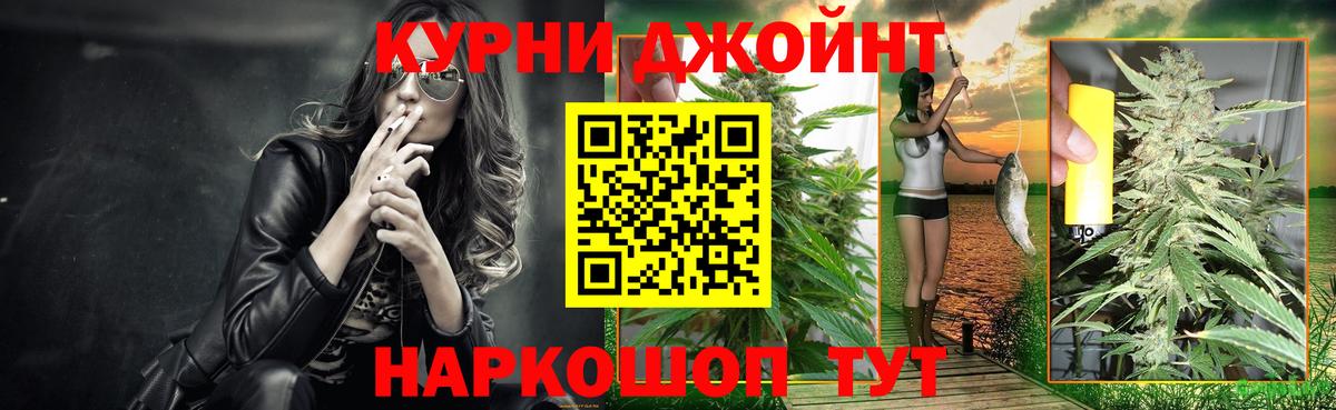 Шишки марихуана сатива  Вход с VPN  Новороссийск  Марихуана Ganja 